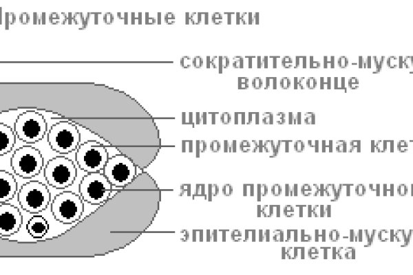 Кракен даркнет store kraken dark link