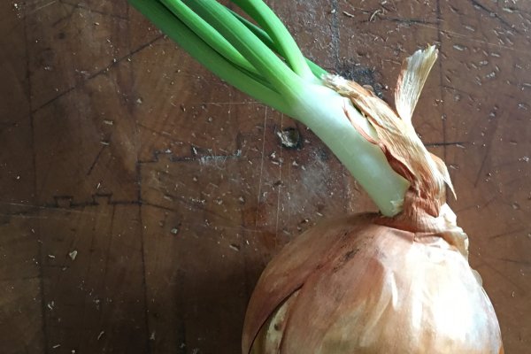 Кракен даркнет поддержка